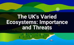 Course Thumbnail